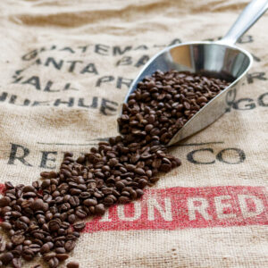 Kaffeehandwerk erleben